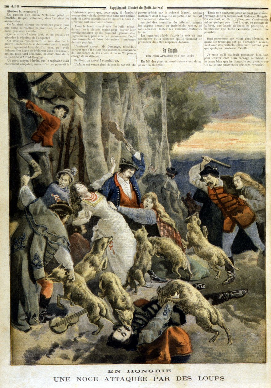 في المجر: حفل زفاف هاجمه الذئاب - في "" Le Petity Journal "بتاريخ 23/12/1894 بواسطة فنان غير معروف