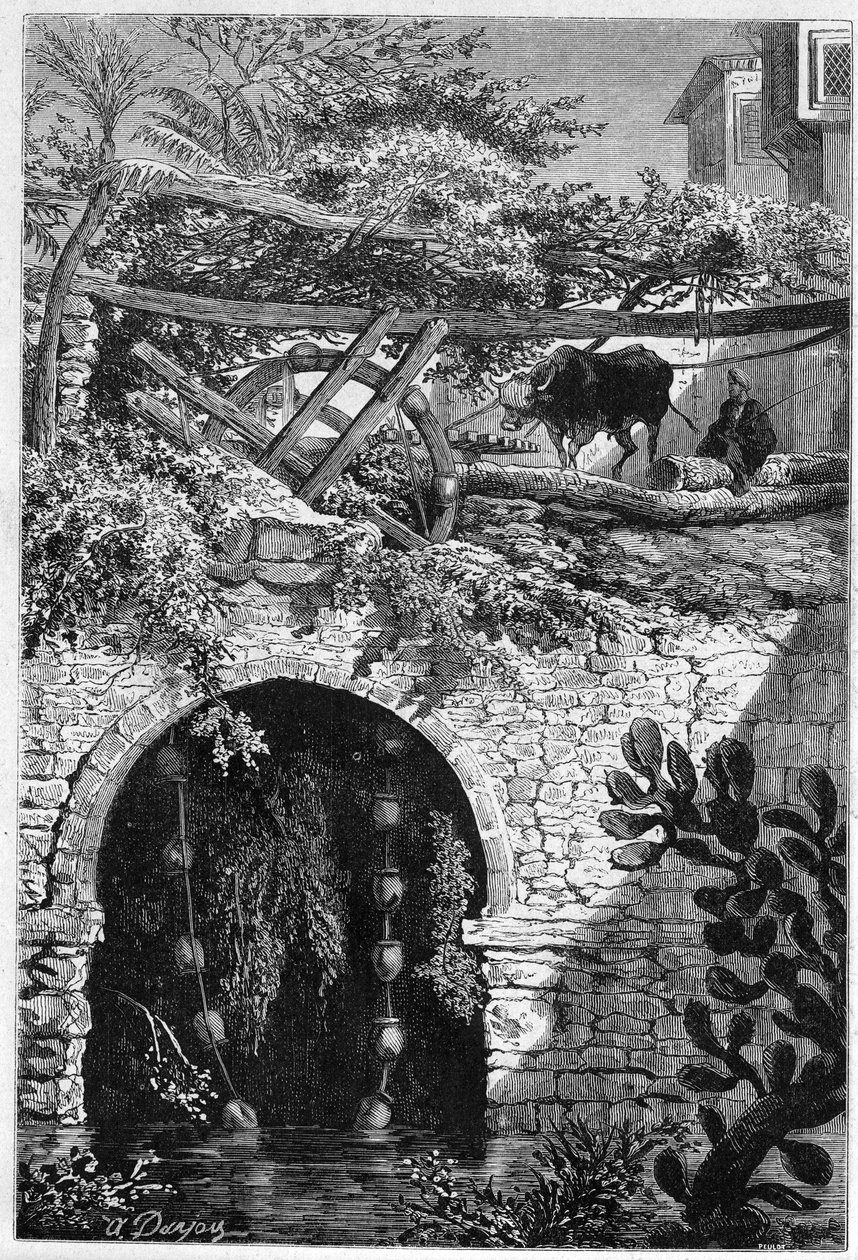 الري في مصر: ثور يدور عجلة حولها دلاء ملفوفة. نقش في "" Le Monde Illustré "" رقم 1313 بتاريخ 27 مايو 1882. بواسطة فنان غير معروف