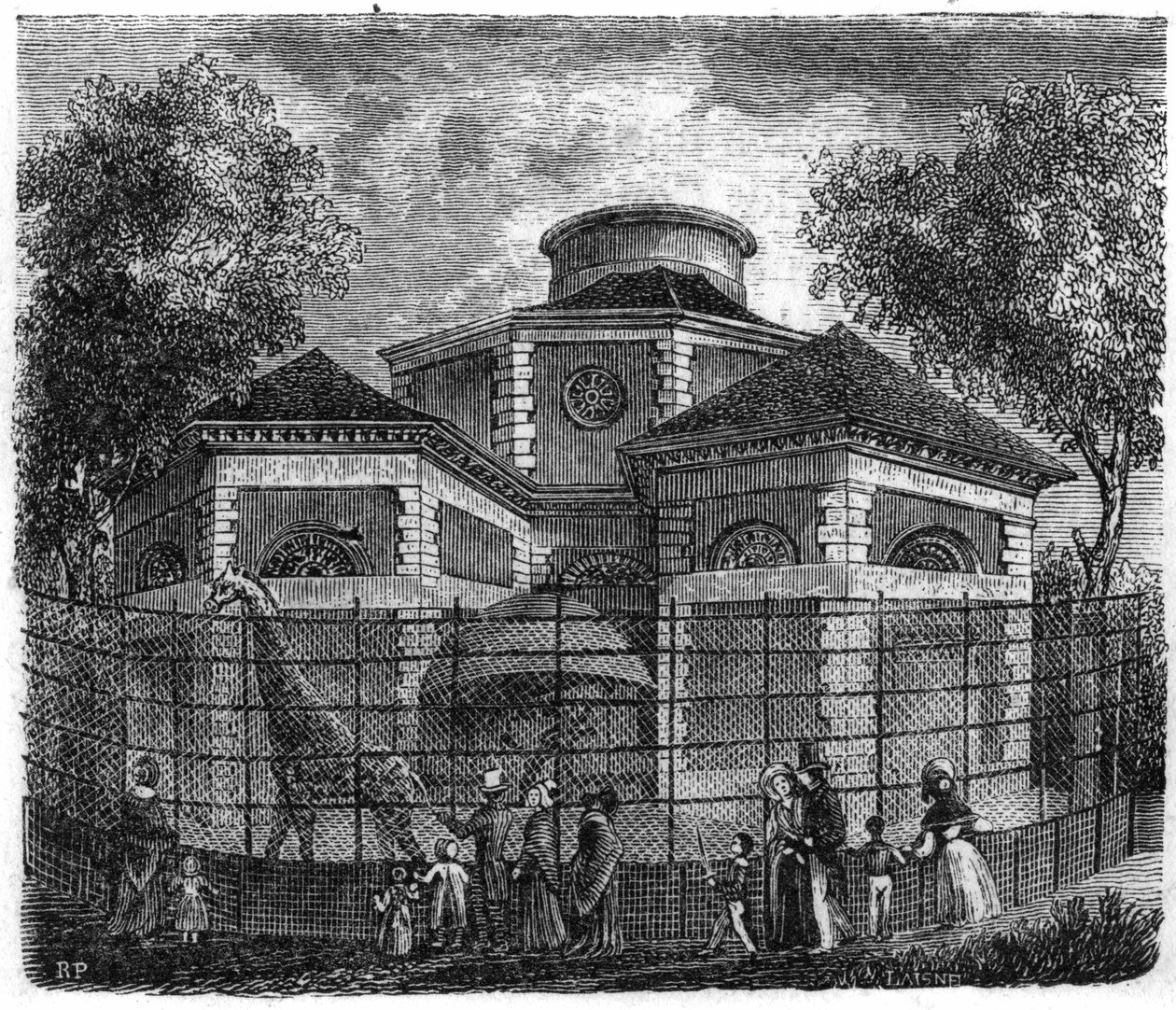 حديقة Jardin des Plantes في باريس عام 1861: مستديرة من الفيلة والزرافات. بواسطة فنان غير معروف