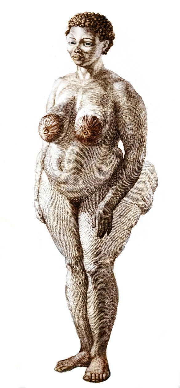 La Venus Hottentote ، امرأة من سلالة Bochiman (The Hottentot Venus ،) نقش عام 1815. بواسطة فنان غير معروف