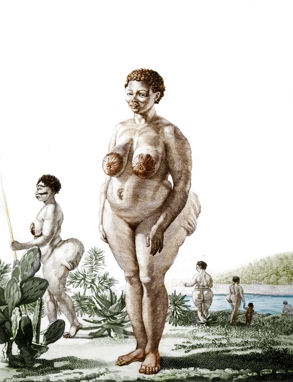 La Venus Hottentote ، امرأة من سلالة Bochiman (The Hottentot Venus ،) نقش عام 1815. بواسطة فنان غير معروف