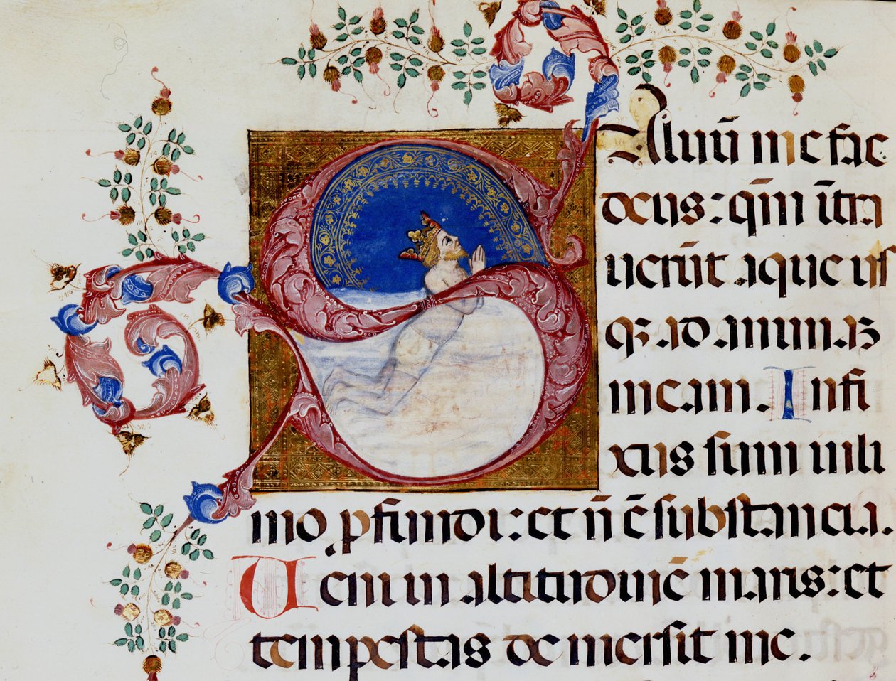 Lettrine S: David in the Deep Light - Antiphonary من القرن الخامس عشر. البلدية الكتاب المقدس. ريميني. بواسطة فنان غير معروف