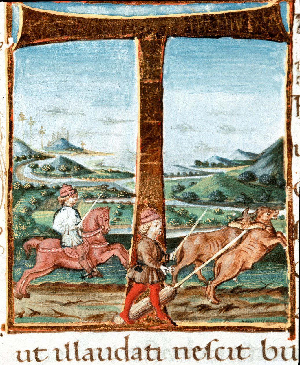 Lettrine T decoree لراكب ومدرب للثيران - صورة مصغرة مأخوذة من "The bucoliques" (Eglogues) بواسطة فيرجيل (Publius Vergilius Maro) (70-19 قبل الميلاد) (السيدة IV E.12). القرن الخامس عشر في نابولي ، المكتبة الوطنية بواسطة فنان غير معروف