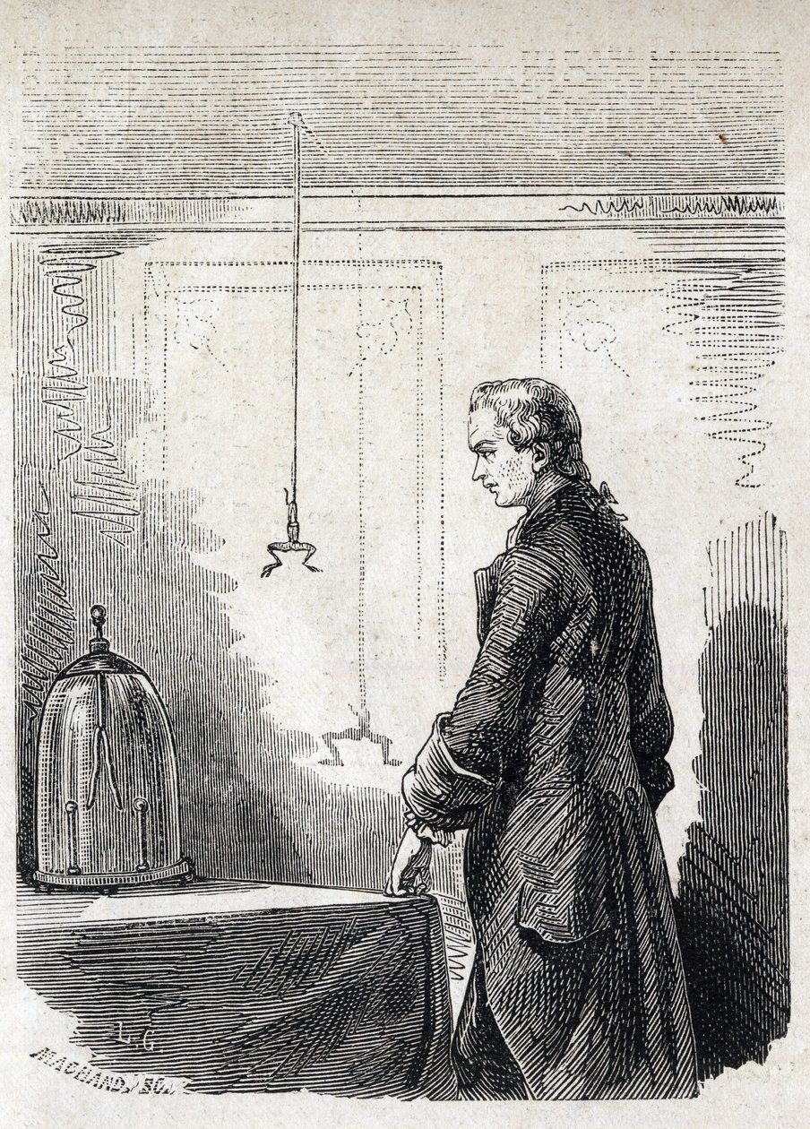 يتسبب لويجي جالفاني في تقلصات الضفادع بواسطة مانع الصواعق الكهربائية - LUIGI GALVANI (1737-1798) الطبيب والفيزيائي الإيطالي. يسبب تقلصات في ضفدع بالكهرباء من سحابة رعدية بواسطة فنان غير معروف