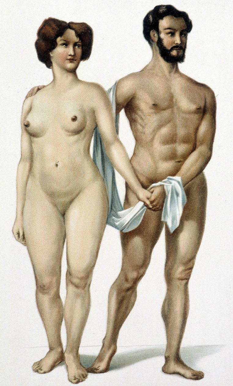رجل وامرأة - كتاب في الطب ، أواخر القرن التاسع عشر بواسطة فنان غير معروف