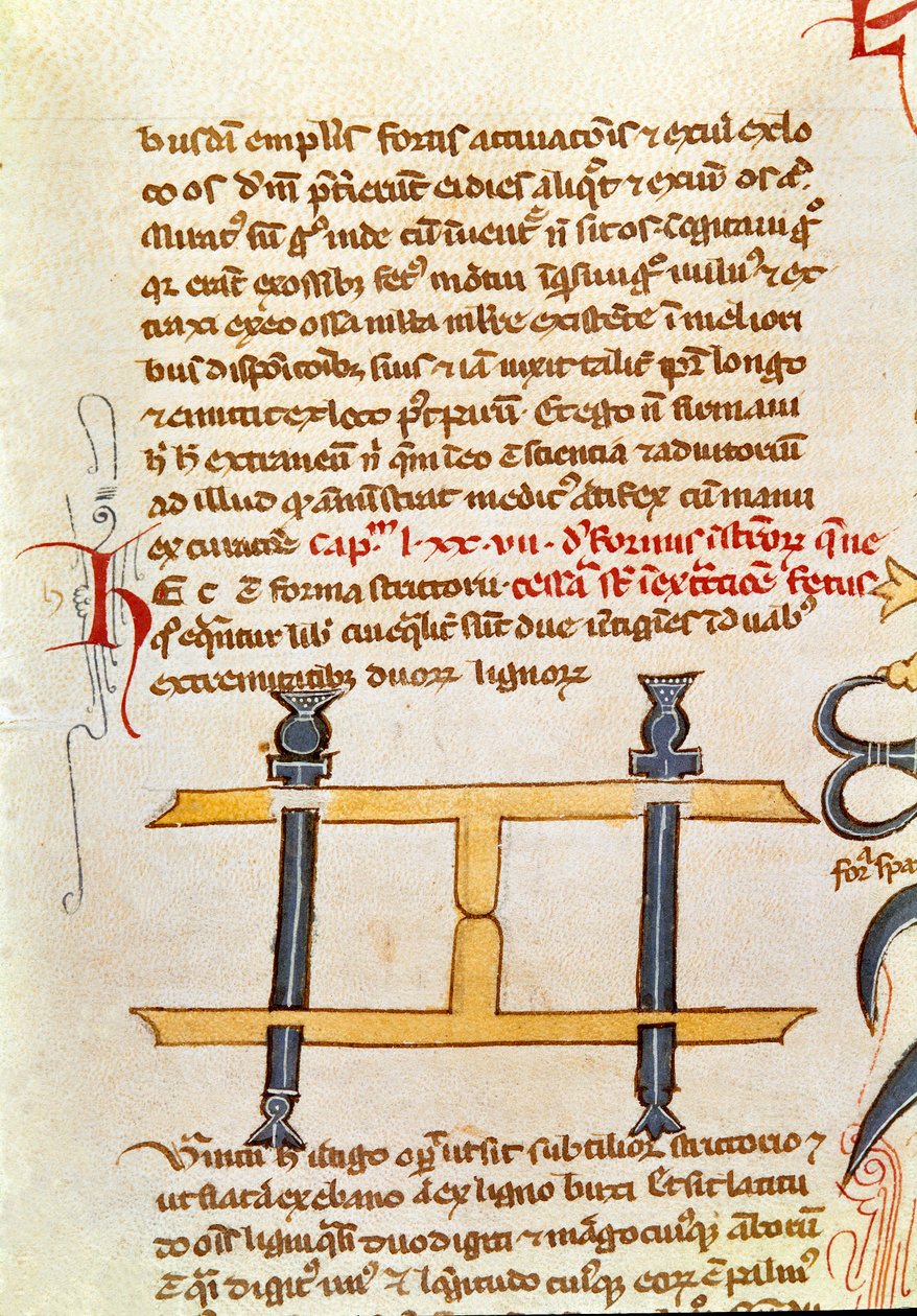 صفحة المخطوطة "الجراحة" (MS. LAT.VII 32-3023) بقلم Guillaume de Salicet (Guglielmo da Saliceto) (1207-1270) الراهب والطبيب. القرن الرابع عشر البندقية مكتبة مارسيانا بواسطة فنان غير معروف