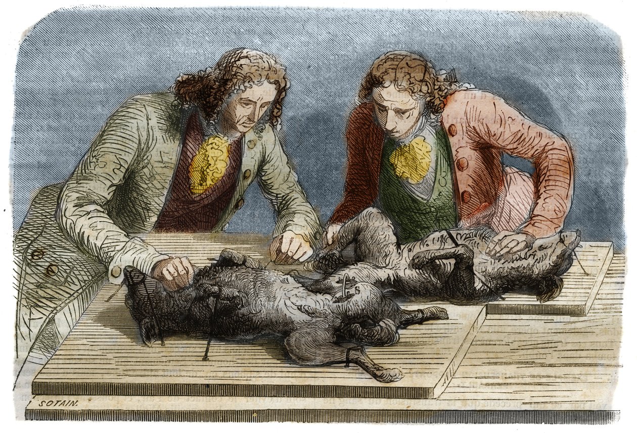 الخبرة الطبية: تم إجراء نقل دم لكلبين في باريس عام 1667. نقش من عام 1857 من رسم لكلود بيرولت. بواسطة فنان غير معروف