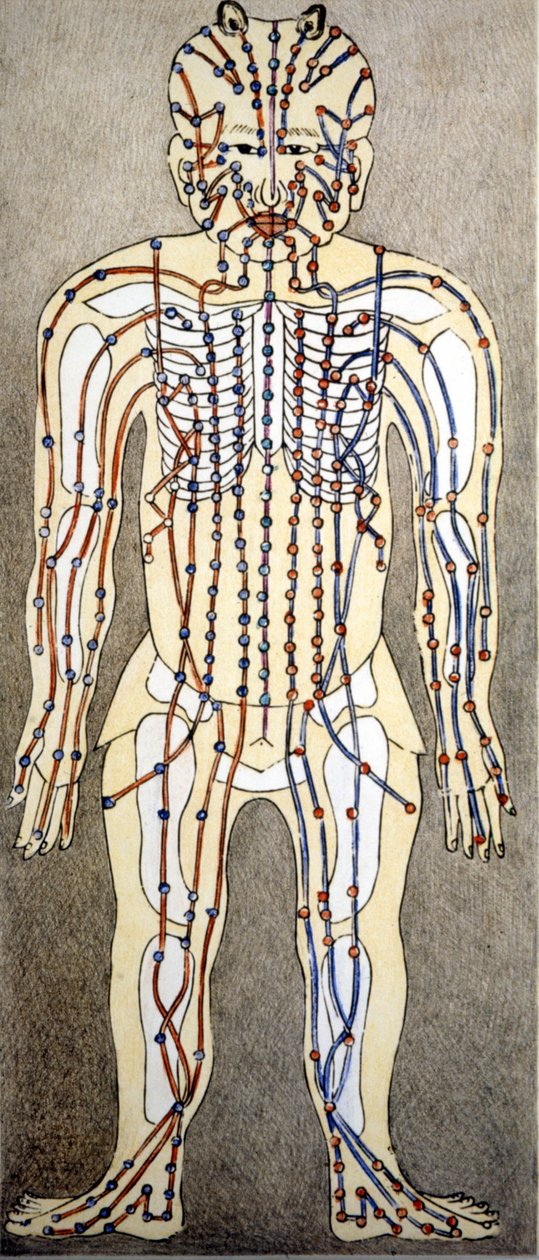 طب. رسم تخطيطي لجسم الإنسان من أطروحة الوخز بالإبر. مكتبة خاصة بميلانو. بواسطة فنان غير معروف