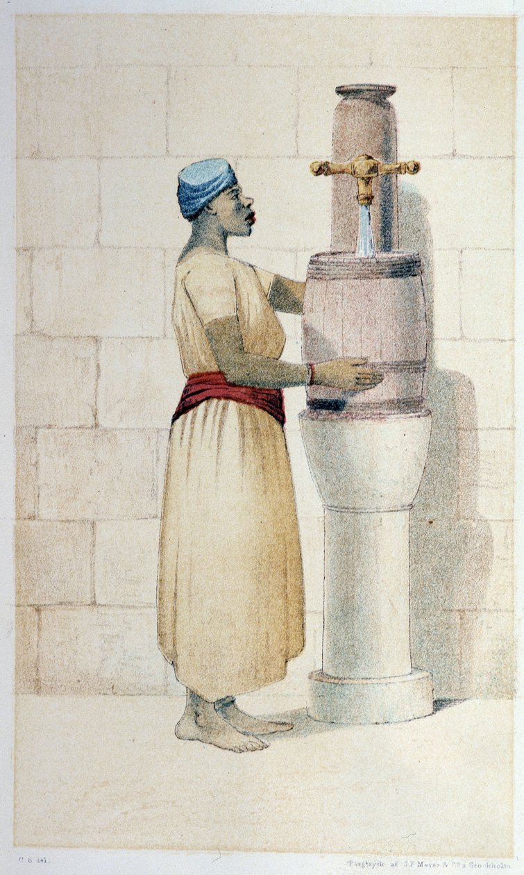Mulatre d'Oceania - في "" الطواف السويدي الأول "بقلم Skogman Carl Johan Alfred ، محرر. ستوكهلوم ، أدولف بونييه بواسطة فنان غير معروف