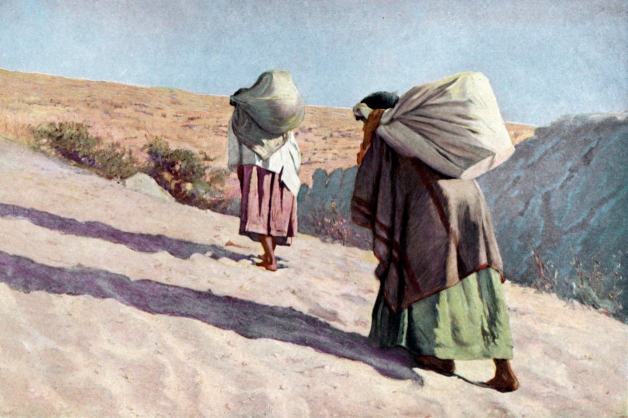  بواسطة فنان غير معروف