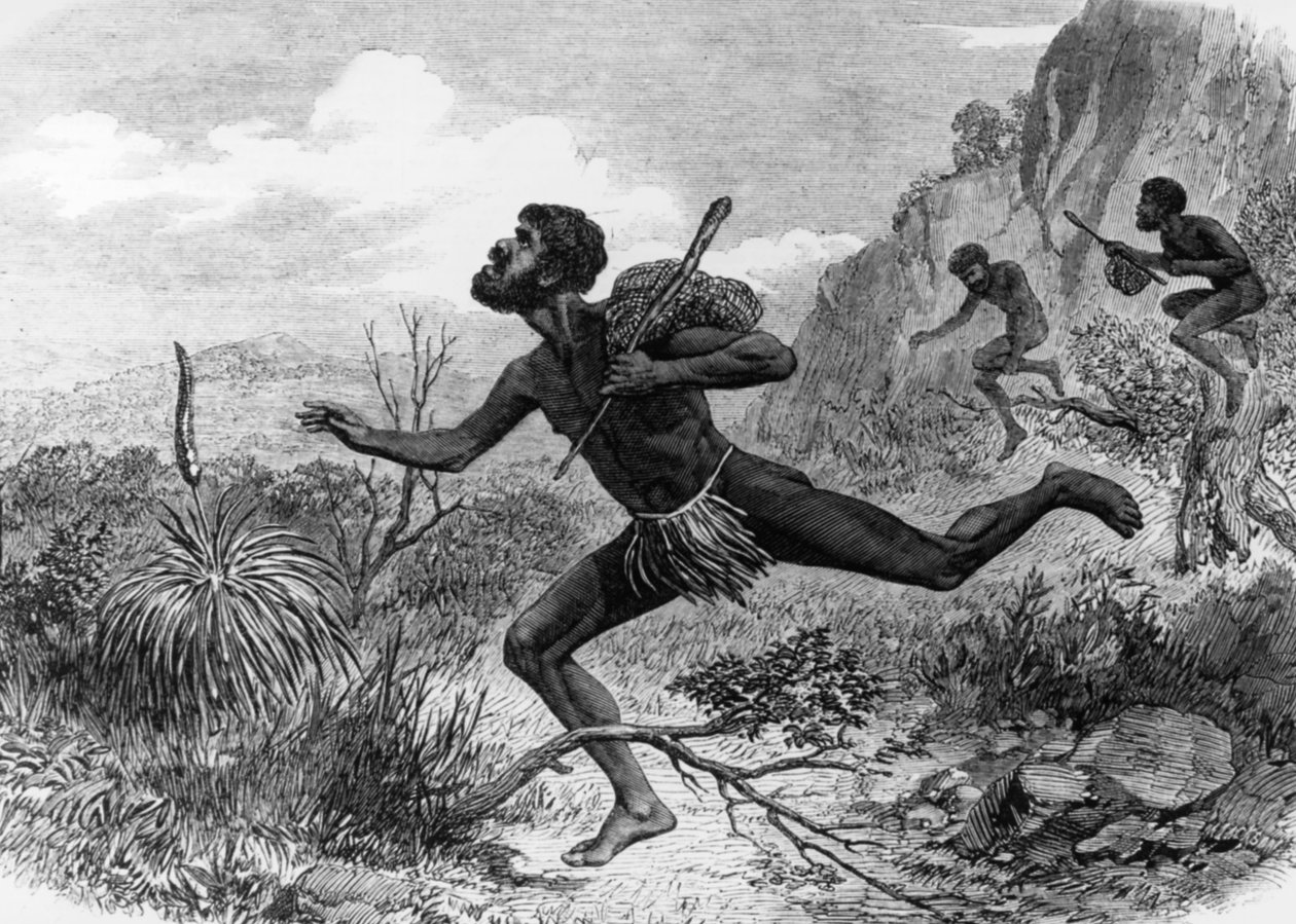 السكان الأصليون (السكان الأصليون) من أستراليا أثناء صيد النحل عام 1863 ، النقش بواسطة فنان غير معروف