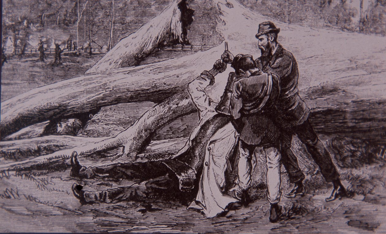 Ned Kelly captured by Police Constable Kelly and railwayman Jesse Dowsett, 28 June 1880 (engraving) بواسطة فنان غير معروف