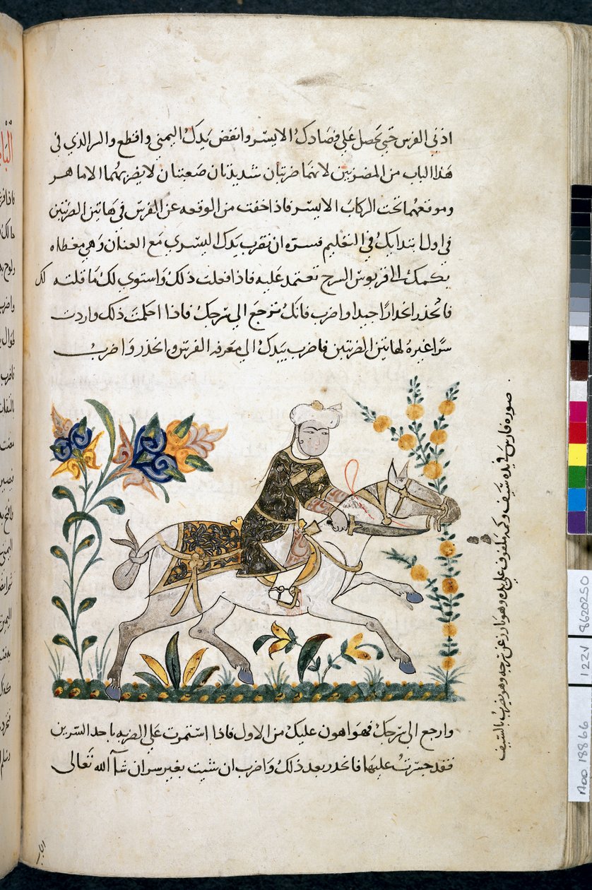 نهايات السوول والأمنية في تعليم الفروسية ، إضافة إم إس 18866 ، ص .122 ق ، 1371 (حبر وصبغة على ورق) بواسطة فنان غير معروف