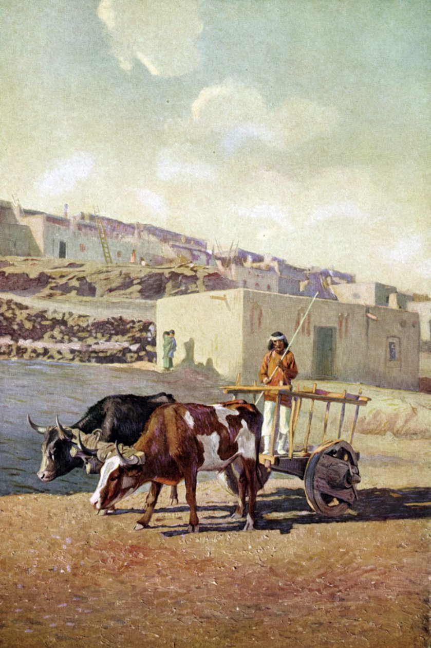  بواسطة فنان غير معروف