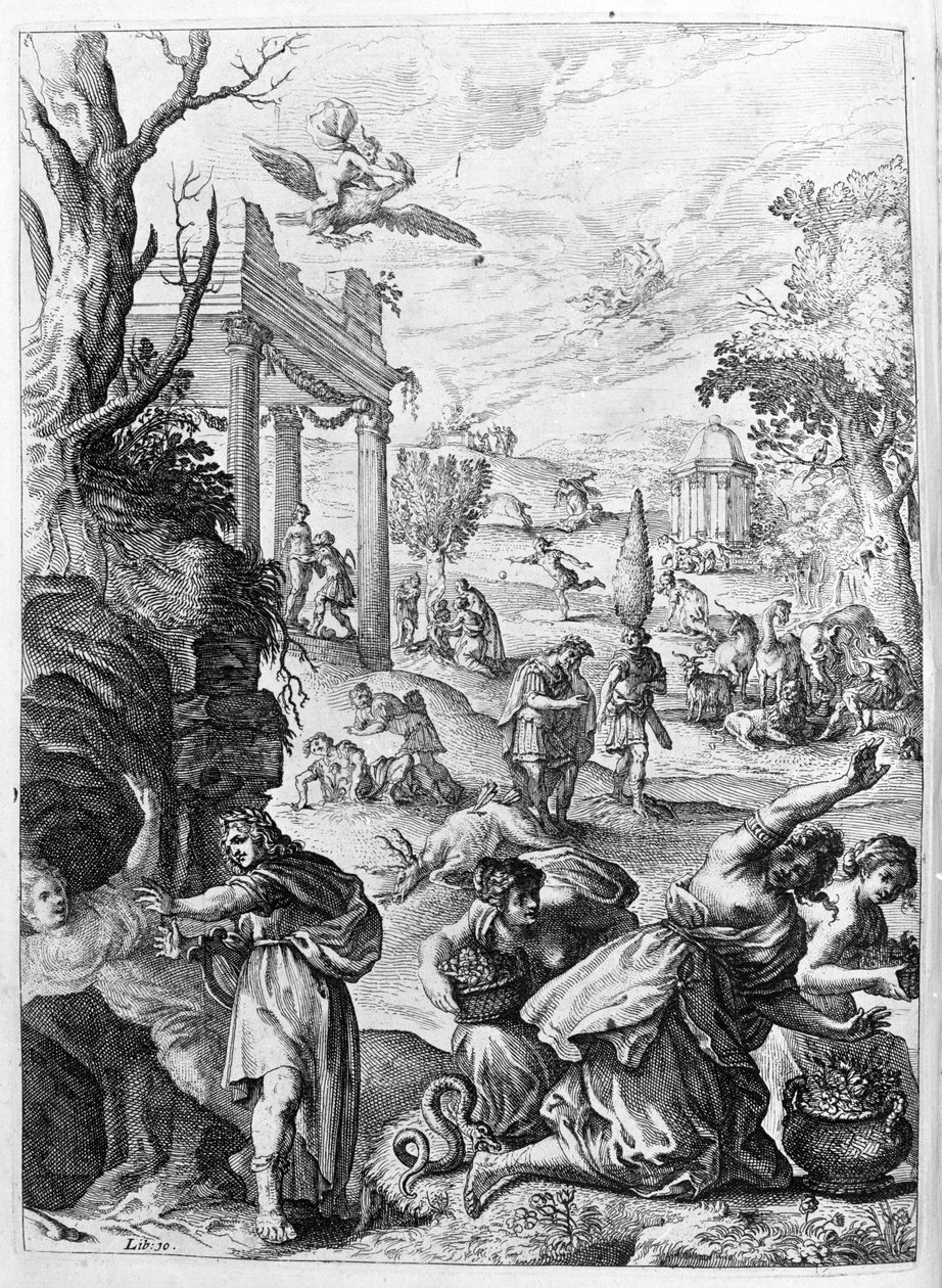 Ovide (Ovid) - رسم توضيحي للكتاب 15 - (يمثل كتاب Ovid's Metamorphoses الخامس عشر. Farnabii.) ملاحظة من قبل Thomas Farnaby (Farnab) (1575-1647) بواسطة فنان غير معروف