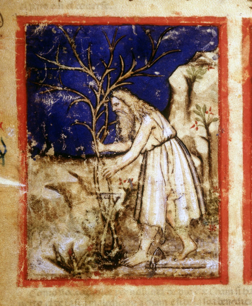 صفحة مخطوطة الكتاب المقدس. حياة نبات نوح. صورة مصغرة من مجلد مخطوطات 212 (أو كود بادوفانو أو الكتاب المقدس لبادوا) 1390-1400 روفيغو ، أكاديميا دي كونكوردي بواسطة فنان غير معروف