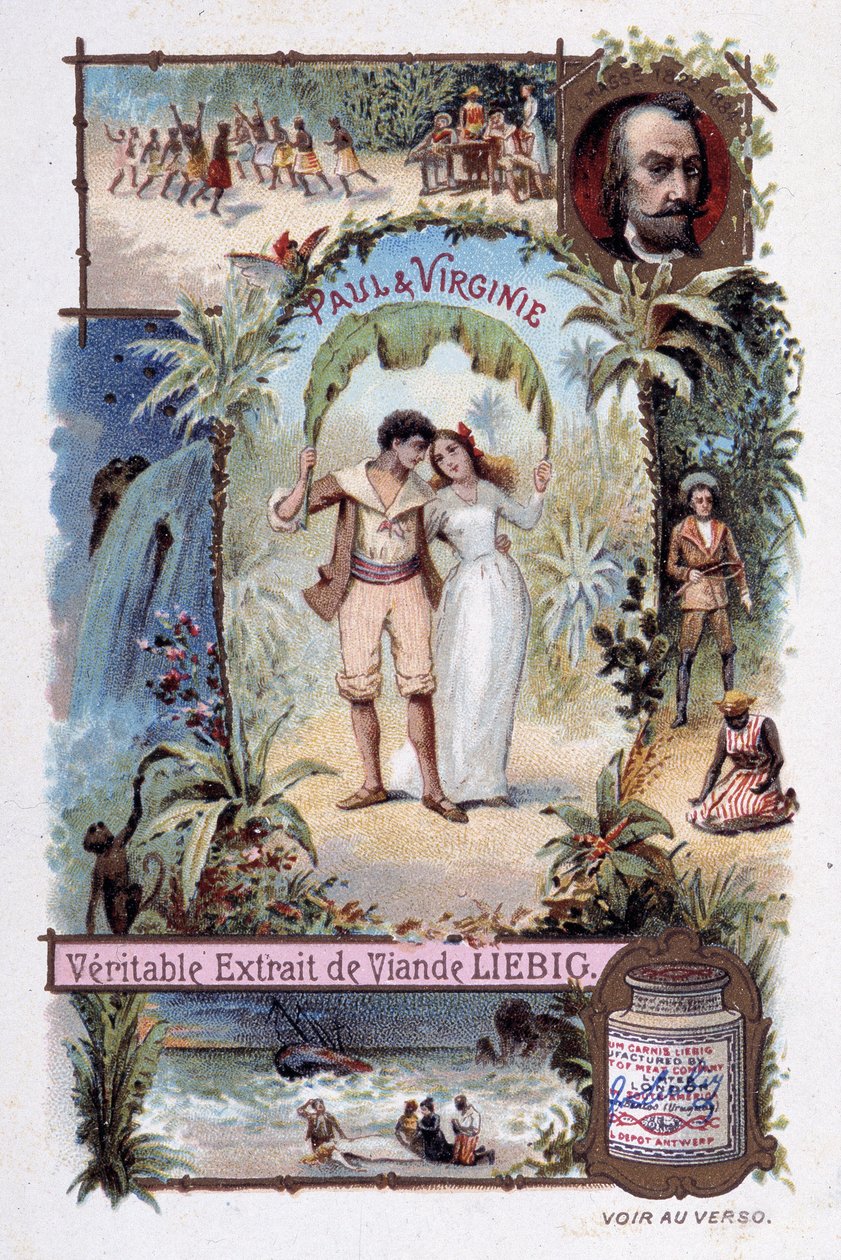 بول وفيرجينيا. رومان بقلم هنري برناردين دي سان بيير (سان بيير أو سانت بيير) ، كاتب فرنسي (1737-1814). رسم توضيحي لـ V. Massé - المقالة القصيرة للإعلان في Liébig بواسطة فنان غير معروف