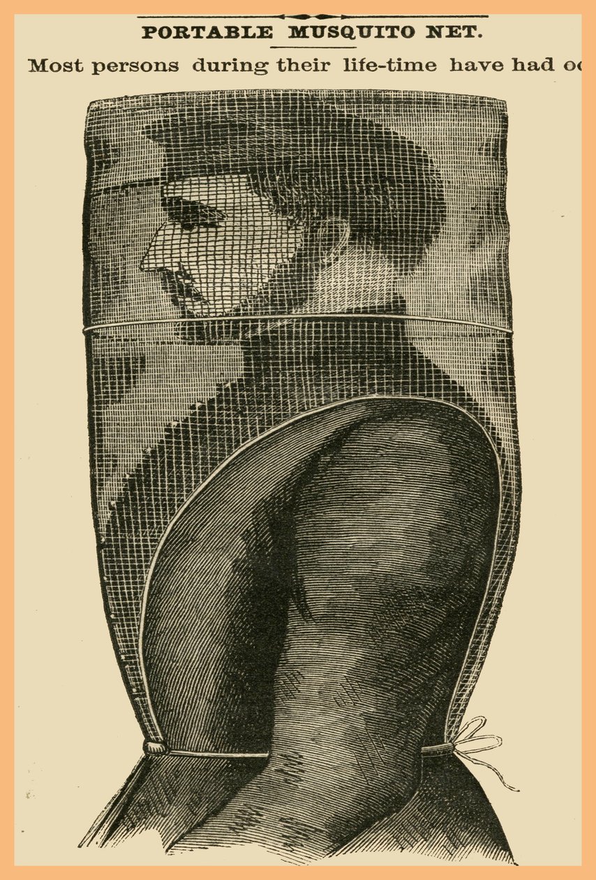 شبكة ناموسية محمولة بواسطة فنان غير معروف