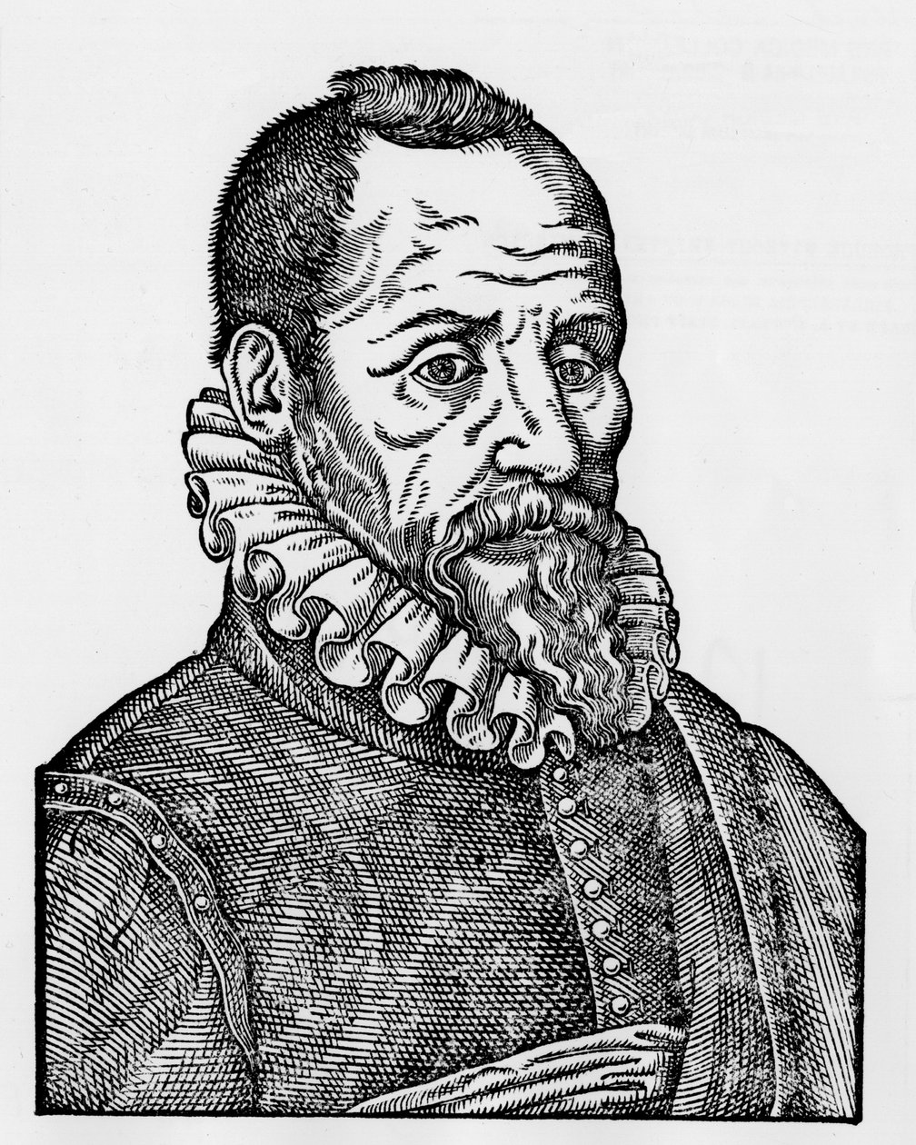 صورة أمبرواز باري (1509-1590) ، جراح فرنسي بواسطة فنان غير معروف