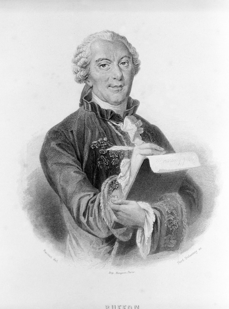 بورتريه بوفون (1707 - 1788) ، عالم الطبيعة والكاتب الفرنسي. بواسطة فنان غير معروف