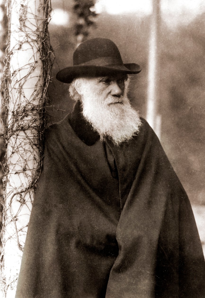 صورة تشارلز داروين (1809-1882) بواسطة فنان غير معروف