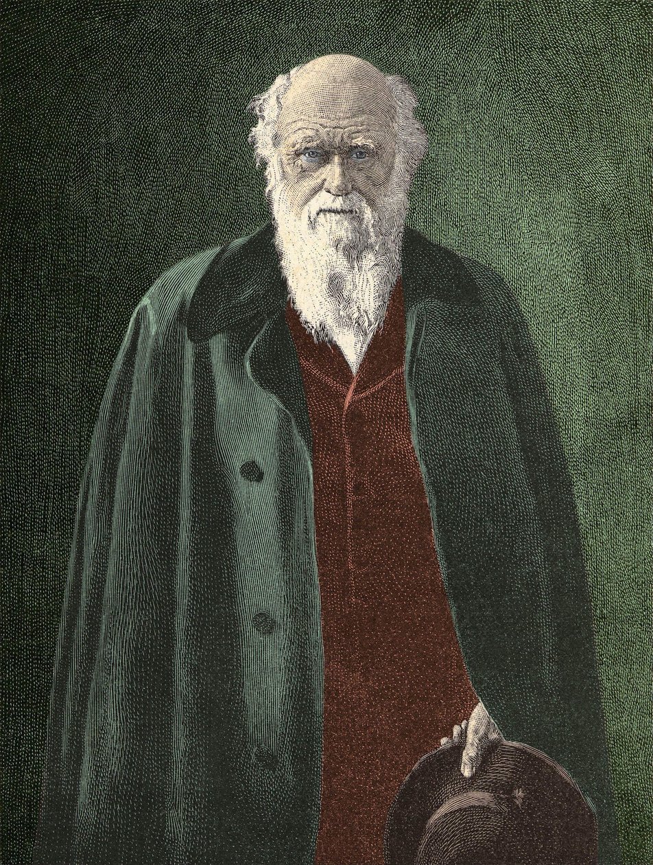 صورة تشارلز داروين (1809-1882) بواسطة فنان غير معروف