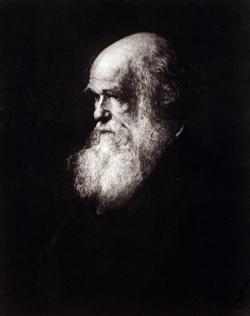 صورة تشارلز روبرت داروين (1809-1882) بواسطة فنان غير معروف