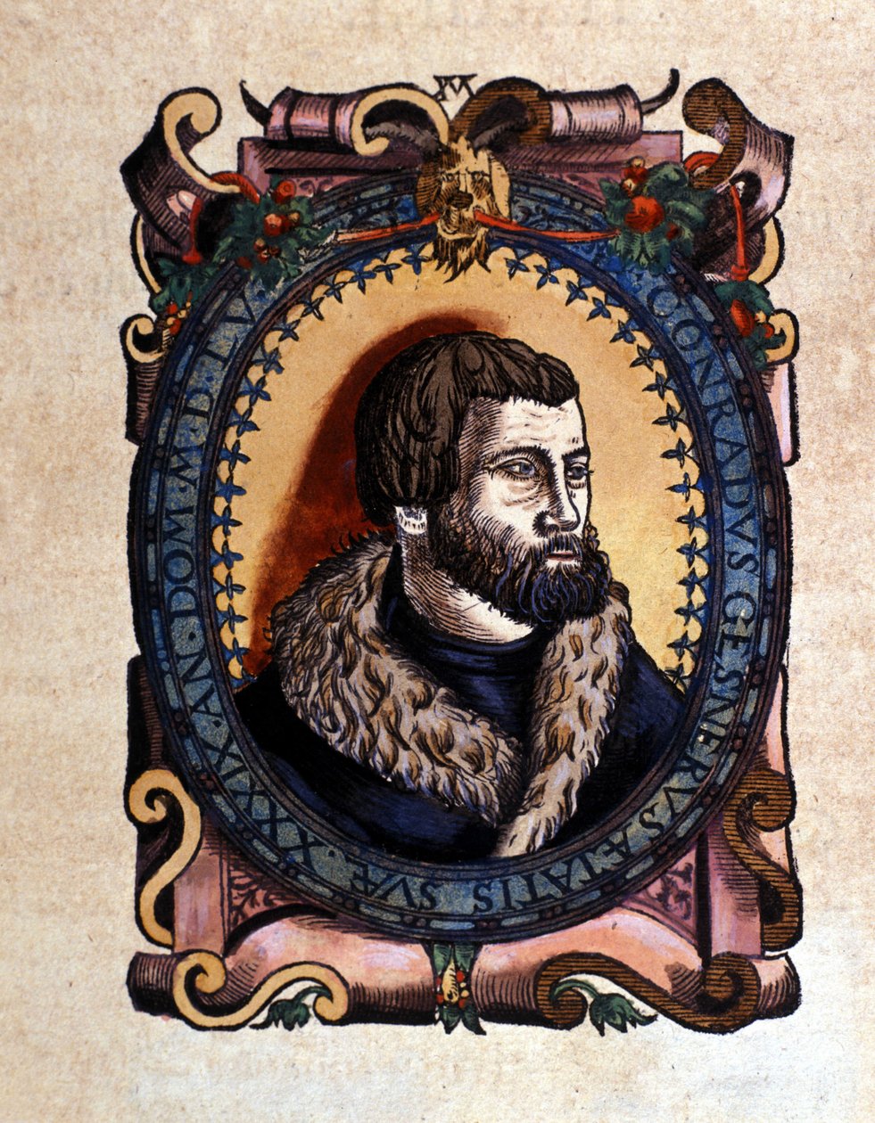 بورتريه كونراد جيسنر (1516-1565) طبيب زيورخ بعد تاريخ الحيوانات بقلم كونراد جيسنر ، زيورخ 1560. المكان Nazionale Braidense. ميلان بواسطة فنان غير معروف