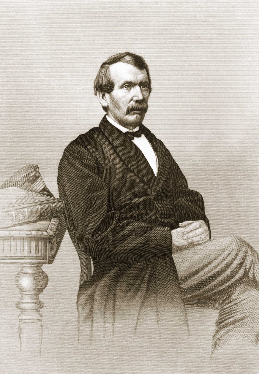صورة لديفيد ليفنجستون (1813 - 1873). بواسطة فنان غير معروف