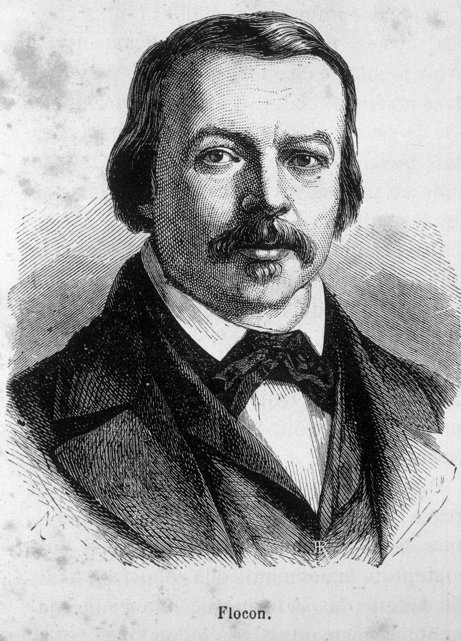 صورة فلوكون ، صحفي وسياسي فرنسي (1800-1866) بواسطة فنان غير معروف
