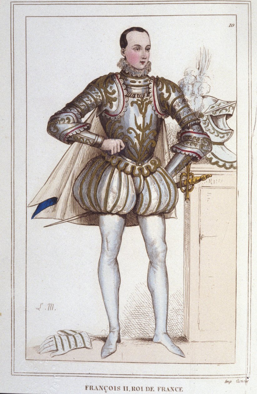 صورة لفرنسوا الثاني (1544 - 1560) ملك فرنسا نقش من عام 1830 بواسطة فنان غير معروف