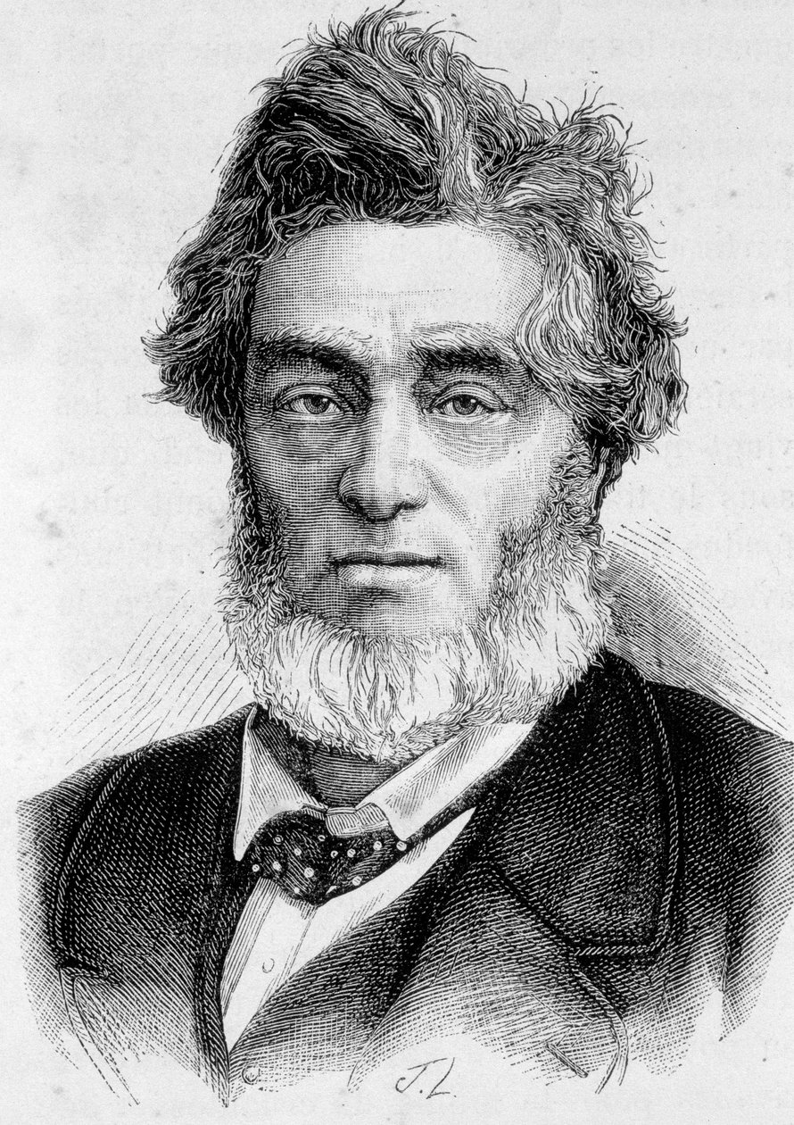 صورة لجول فافر (1809-1880) ، سياسي فرنسي. بواسطة فنان غير معروف