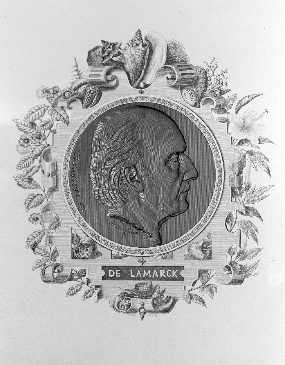 صورة لامارك (1744 - 1829). بواسطة فنان غير معروف