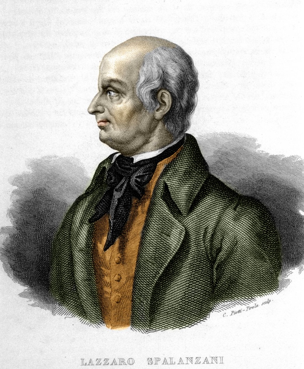 صورة لازارو سبالانزاني (أو سبالانزاني) ، عالم أحياء إيطالي (1729 - 1799) بواسطة فنان غير معروف