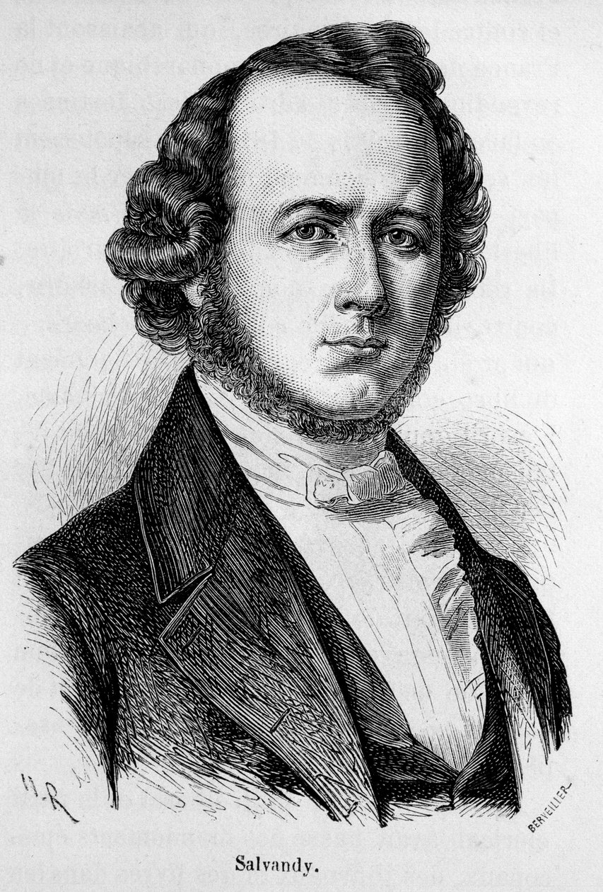صورة نرجس أخيل ، إيرل سلفاندي ، سياسي فرنسي (1795-1856) بواسطة فنان غير معروف