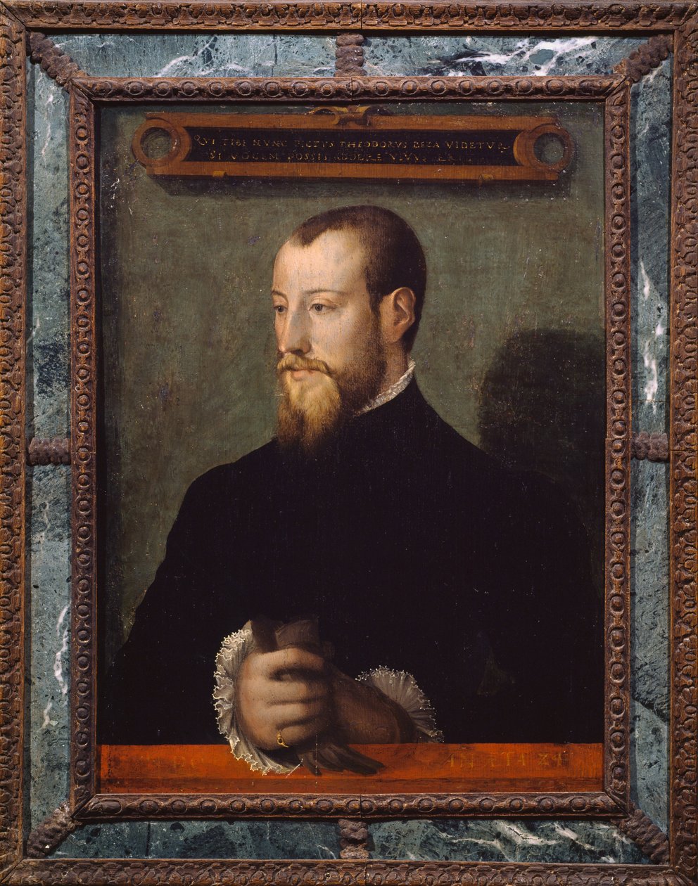 صورة لثيودور بيزا أو ثيودور دي بيز (1519-1605) في سن 24 ، عالم لاهوت فرنسي ، رسمها رسام مجهول بواسطة فنان غير معروف
