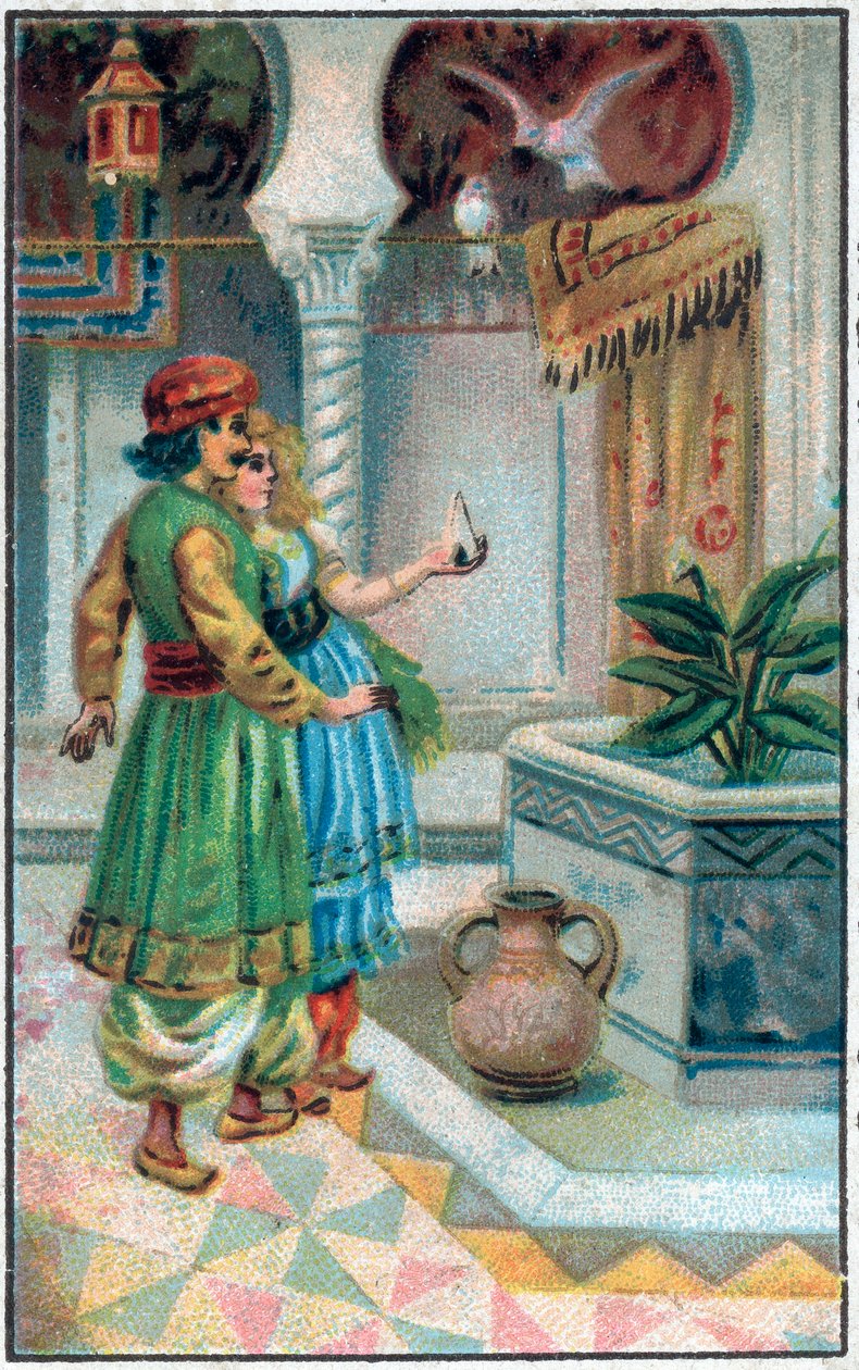 الأمير أحمد مع الرسوم. تاريخ الأمير أحمد ورسوم Paris-Banou (Pari Banou) (Paribanu). حكاية 1001 ليلة (حكايات الألف ليلة وليلة). الطباعة الحجرية الملونة في أواخر القرن التاسع عشر. بواسطة فنان غير معروف