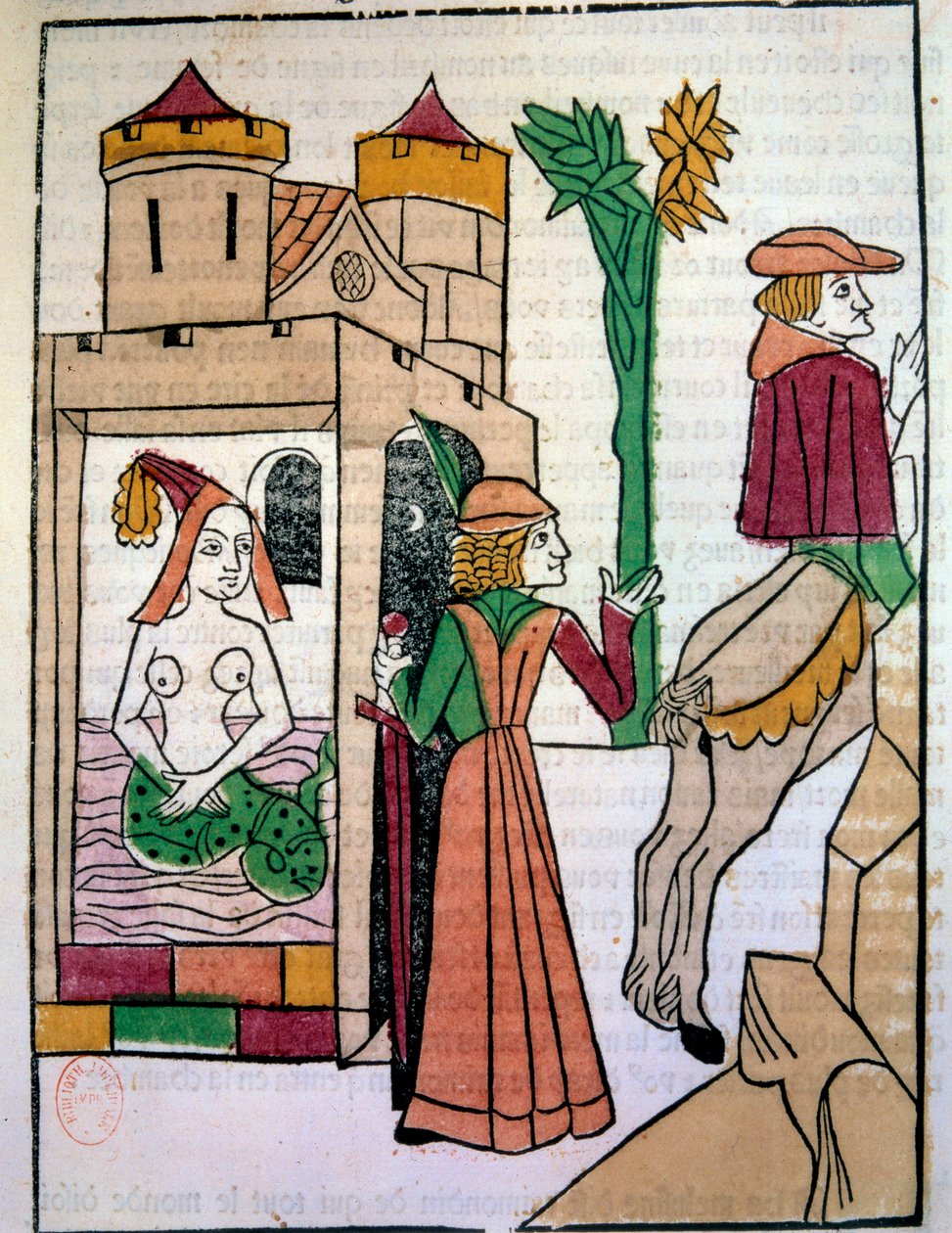 رايموندين يتجسس على زوجته ميلوزين في الحمام. نقش على الخشب مضاء يدويًا في "Histoire de Melusine" (الورقة 142) بقلم جان دارس بواسطة فنان غير معروف