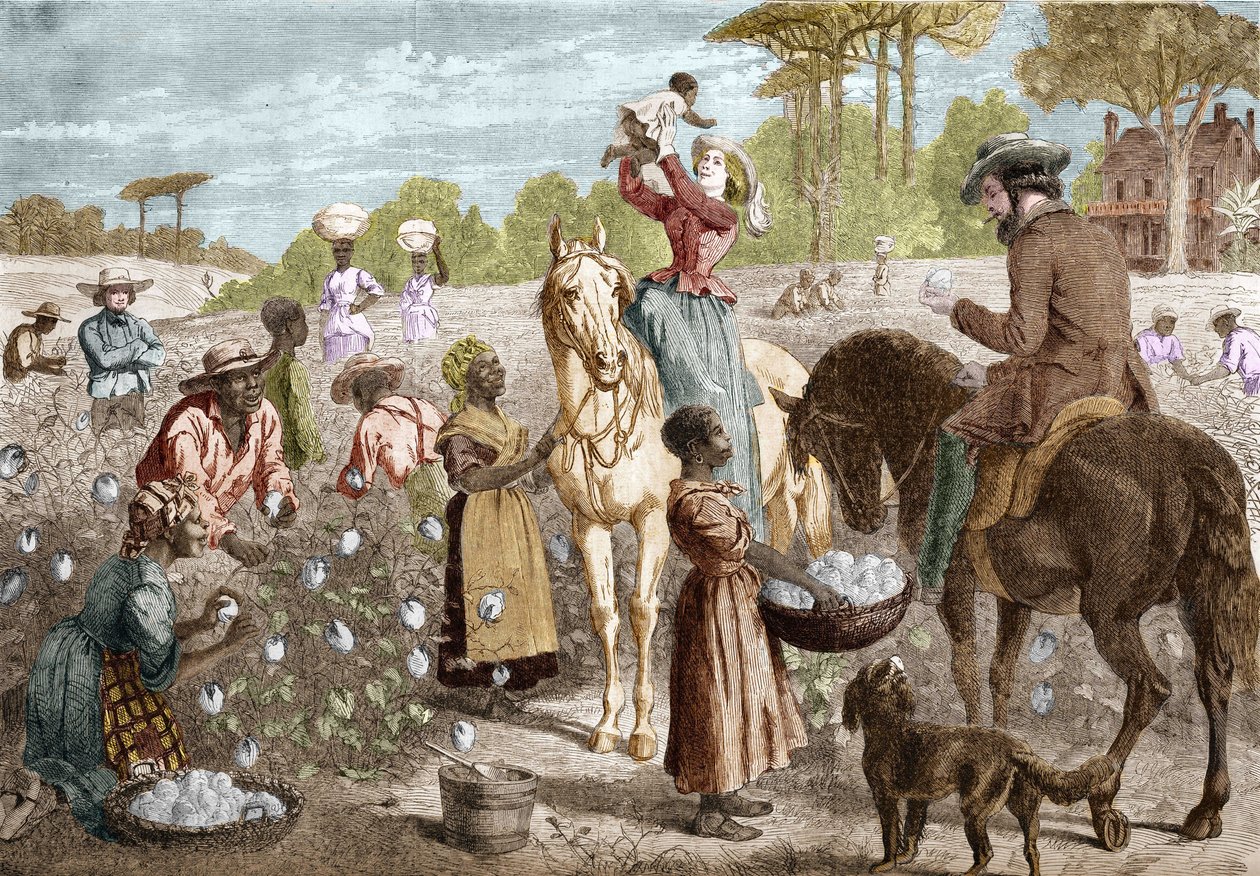 قطن معاد تدويره من منزل في جنوب الولايات المتحدة عام 1864. بواسطة فنان غير معروف