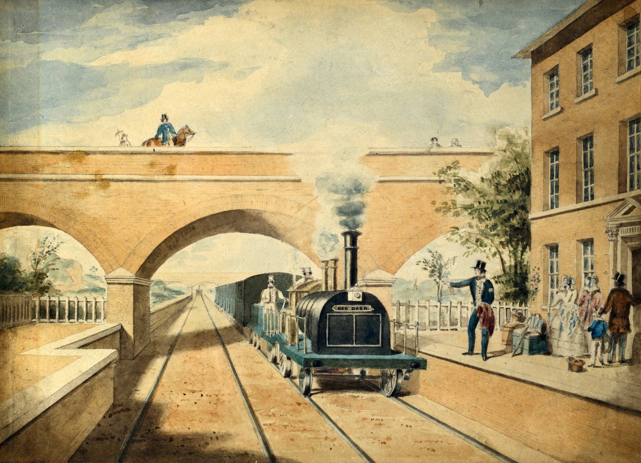 الأيل الأحمر ، حوالي 1850 (ألوان مائية على ورق) بواسطة فنان غير معروف