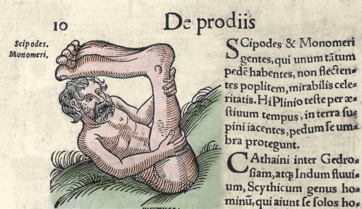 تمثيل وحش Sciapod نقش من "كتاب Prodigiorum ac ostentorum Chronicon Basileae" بقلم ولفارت (كونراد ليكوستين) 1557 بواسطة فنان غير معروف