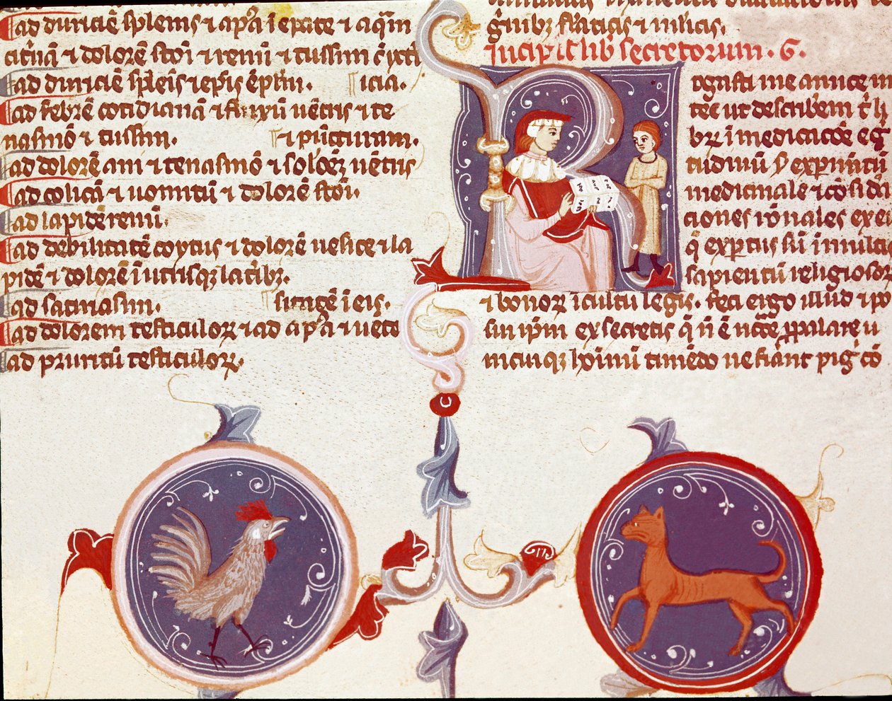 تمثيل الديك والقطة ، على رأس شخصيتين ، ربما يكون المترجم يعرض عمله على الطبيب. (مصغر بواسطة فنان غير معروف