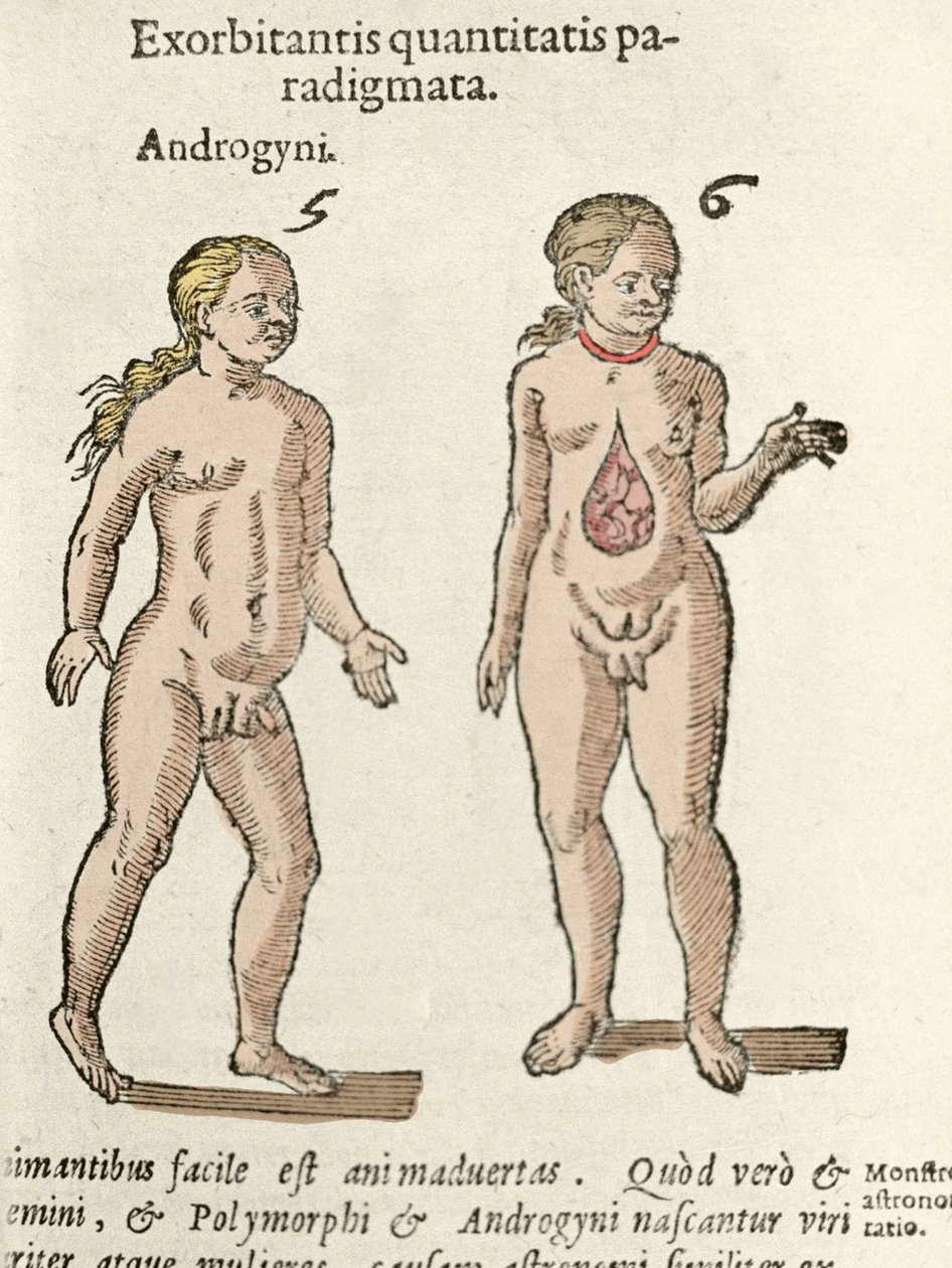 تمثيل خنثى وخنثى. لوحة مأخوذة من De natura Divinis caracteris "" لكورنيليو جيما 1575 بواسطة فنان غير معروف