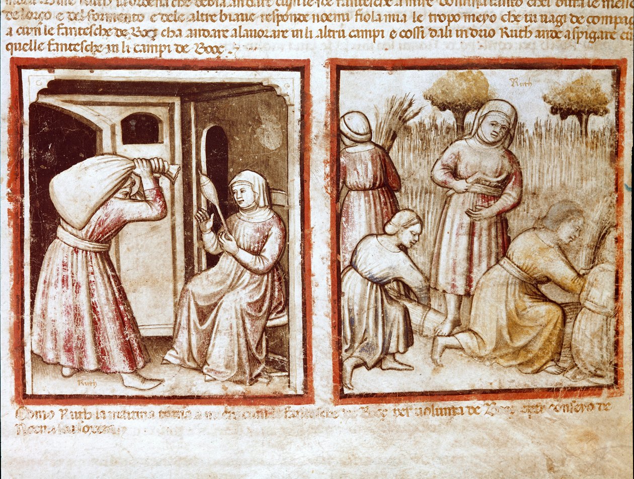 روث ونويمي (نعومي ، نويمي) يعملان في حقول بواز (بوز) مصغرة من مجلد 212 (أو كود بادوفانو أو الكتاب المقدس لبادوا) 1390-1400 روفيغو ، أكاديميا دي كونكوردي بواسطة فنان غير معروف