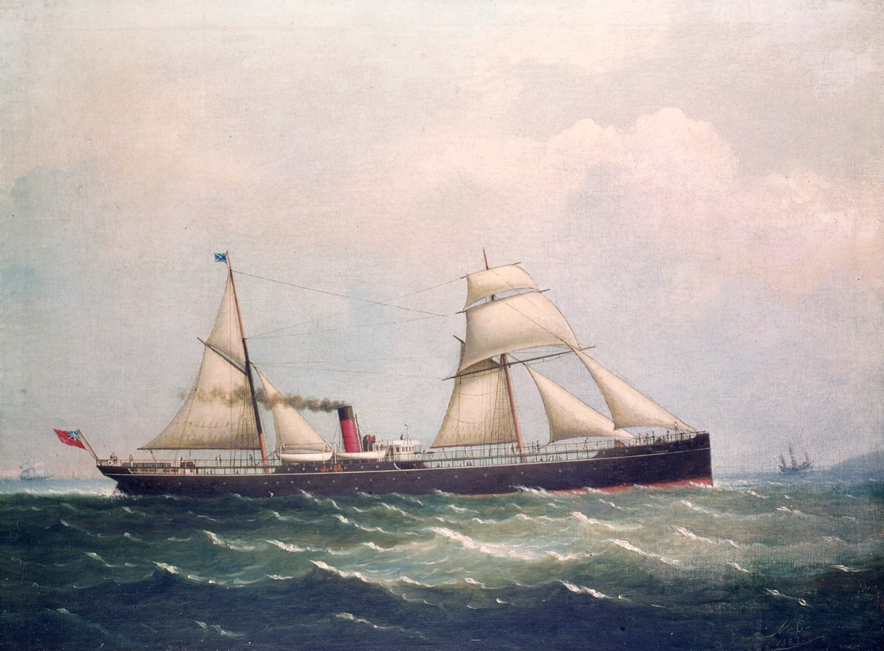 S.S Fooksang (زيت على قماش) بواسطة فنان غير معروف