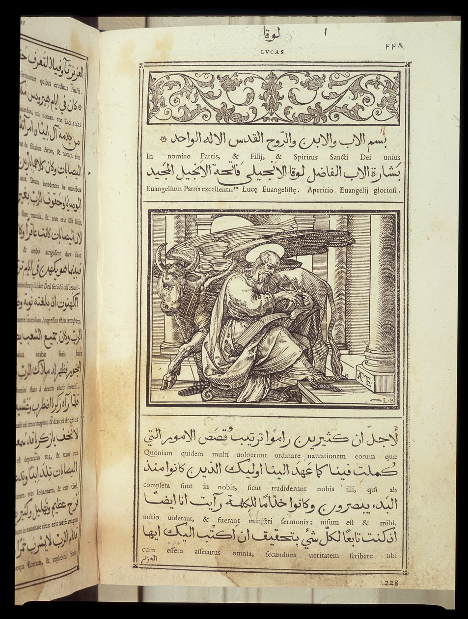 القديس لوقا الإنجيلي في "الكتاب المقدس" مكتوب باللغتين اللاتينية والعربية. بواسطة فنان غير معروف