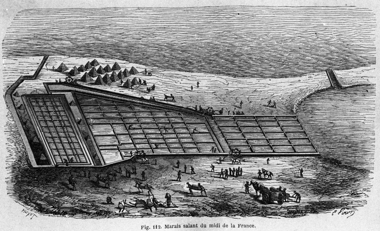 إنتاج الملح: منظر لمستنقعات ملح في جنوب فرنسا ، نقش عام 1880 بواسطة فنان غير معروف