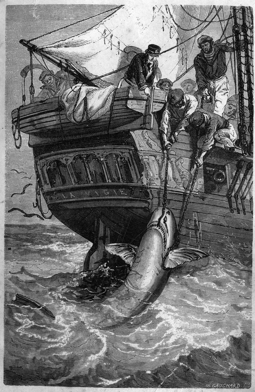 صيد سمك القرش. (Pesca allo squalo) نقش القرن التاسع عشر. مجموعة خاصة. بواسطة فنان غير معروف