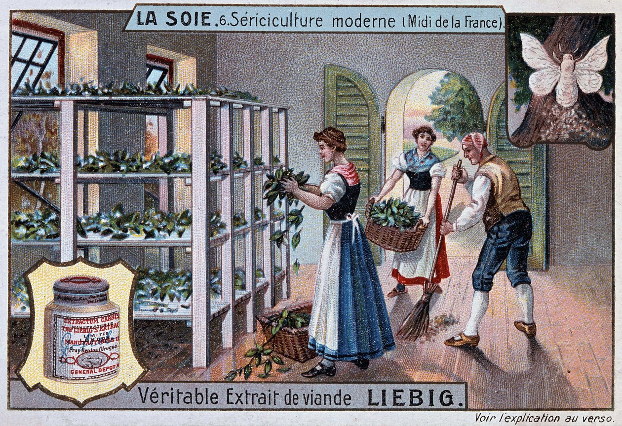 Silk: silk workshop in the south of France, Liebig publicity, v. 1895 بواسطة فنان غير معروف