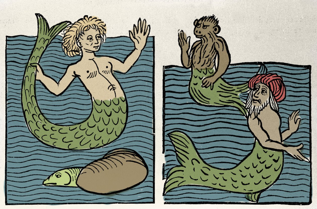 Sirene or Virgin of the Sea, Monkey and Sea Turk. Engraving from “Hortus sanitatis”” بواسطة فنان غير معروف
